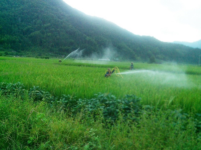 �������֣�ͳ��ͳ�κ�ʵ�߲�����