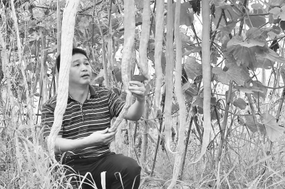 �����������������ֿ������