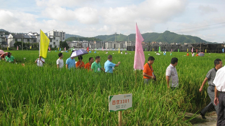 ����̩�����ٿ��ӽ�ˮ����Ʒ�ֹ�Ħ��