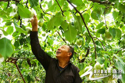 ɽ�����أ����й������桱��¶��ϲ�����