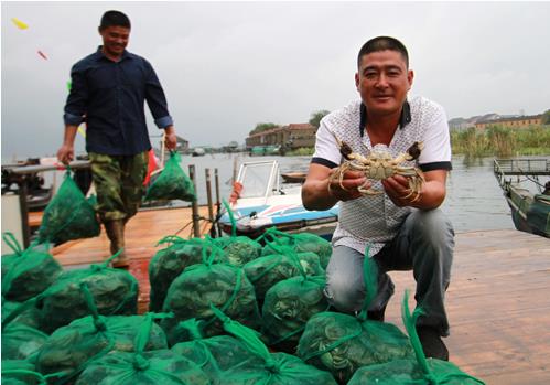 �㽭��������̫��ë��з������