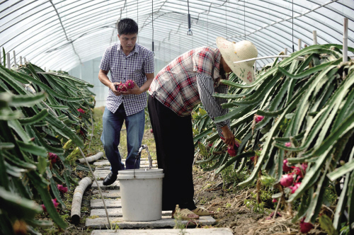 �㽭���ˣ���ժ��������Ӧ�����г�