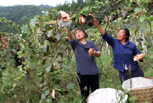 �Ĵ���Դ�У�����⨺������ջ� ��Դ���������������æ��ժ