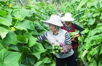 �Ĵ�����������ʱ���߲��� �������ճ���ͷ