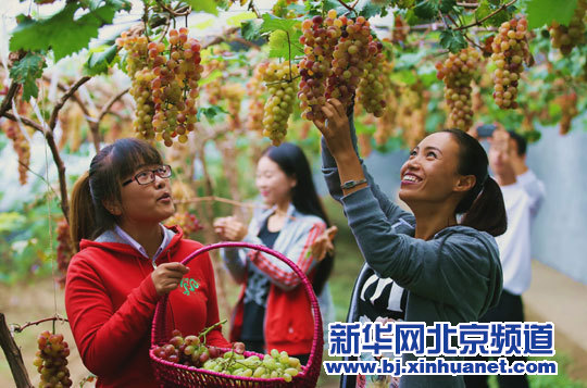 9��7�գ������ڱ����������������Ѳ���԰��ժ���ѡ�