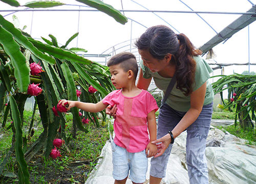 �Ĵ�˫������Ʒ��ɫ�����ִ�ũҵ�·�չ