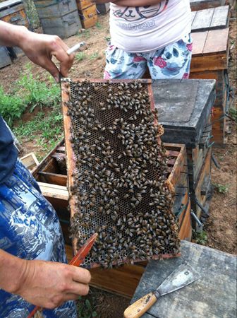 ������ɽ������ҵ�ּ��¡����족