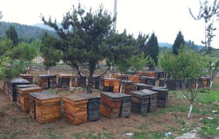 ������ɽ������ҵ�ּ��¡����족2