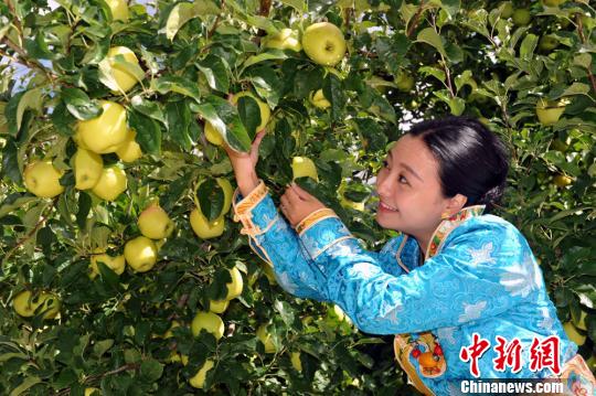 ������ԭƻ��Ʈ�� �Ĵ�С���������æ