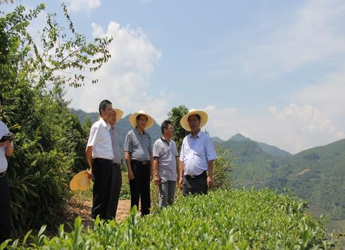 �����۽��ڵ�������Ϫָ�����ҵ��չ