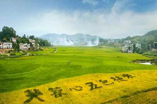 ����˫������������ũҵ��ҵ�ṹ������˶��