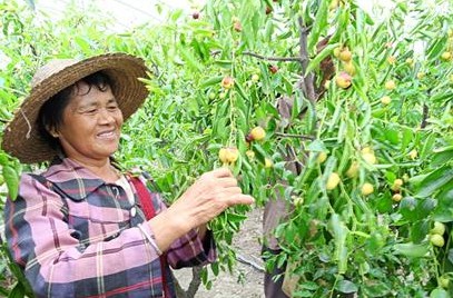 �������°����㽭������̬ũҵ�������޹�˾��660Ķ������ֲ���أ�Ա�������ڲ�ժ���ҡ�