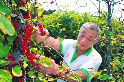 ���������أ���ζ�ӷ���