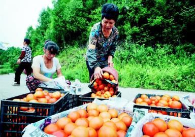 �Ĵ���Ԫ�ѻ��߲˲�������