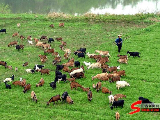 �Ĵ���Ԫ�ѻ�����չ����ҵ ��ũ������60%����