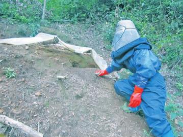 ����������ũ�����������ؼ�������