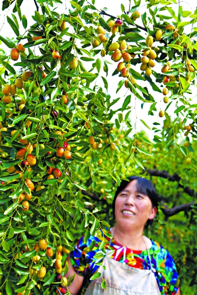 ��������Σ�ɼ�԰�渴�ֻ����