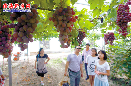 �ڰ˽������������Ļ����νڿ�Ļ