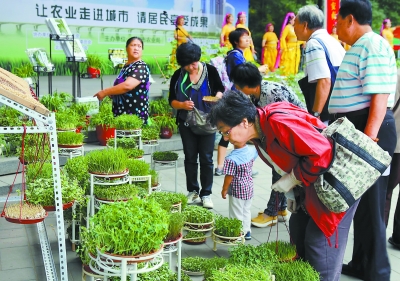 ����������ũ��Ʒֱ��������������