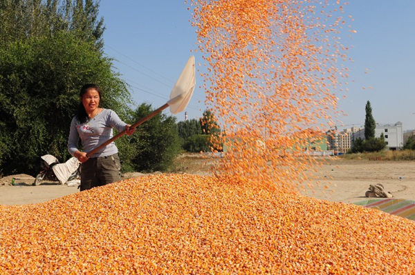 �½����ǵ���258.7��Ķ���׿���