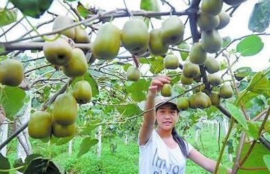 �Ĵ��ϳ䣺����⨺������ֳɹ�