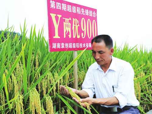 ����¡�أ���Y����900����߲�����