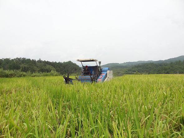 ����̩����ˮ��½�������ո�