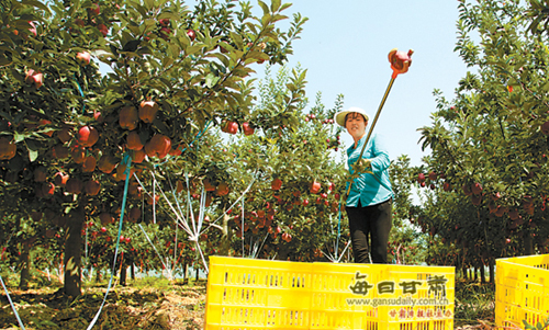 ��ũ�ڲ�ժ��ţƻ����