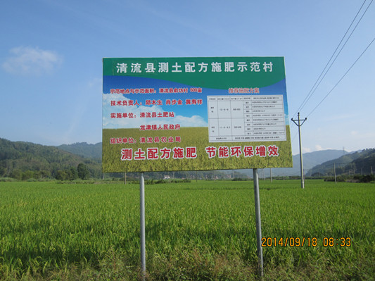 ������������ʳ���������ʵ�����ϲ��