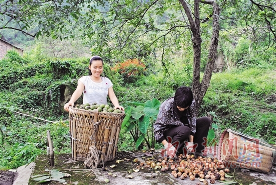 �Ĵ���Զ�غ��ҷ���