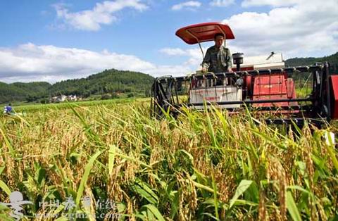 ����̩������Ķ�������ӡ������