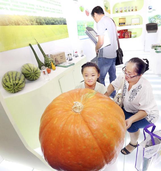 �½���������չũ��Ʒ����·