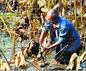 �Ĵ��ϳ䣺��ź������·��