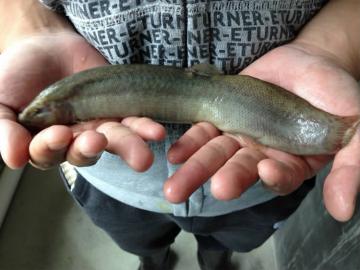 ����������̨���������Ρ������