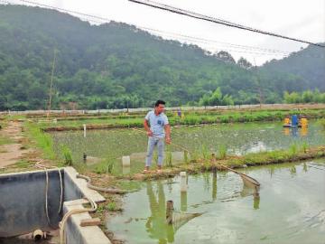 ����������̨���������Ρ������2