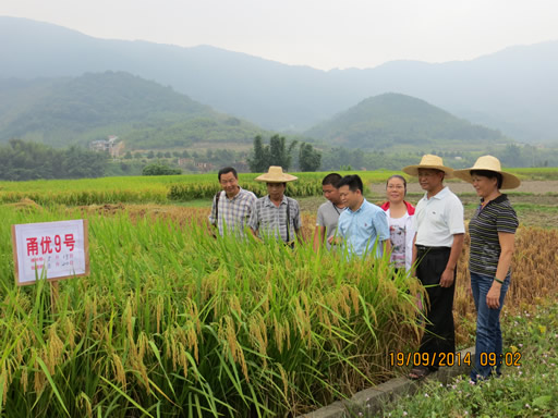 ����������ʡ�����ʵ����ʾ��Ƭ�����