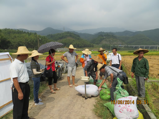 ����������ʡ�����ʵ����ʾ��Ƭ�����2