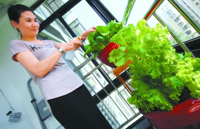 ������΢ũҵ���γ���ũ�� 26�򻧾���������̨���߲�