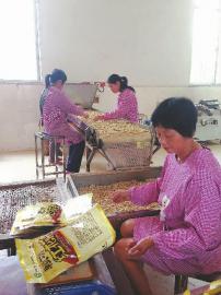 �����������������»�������