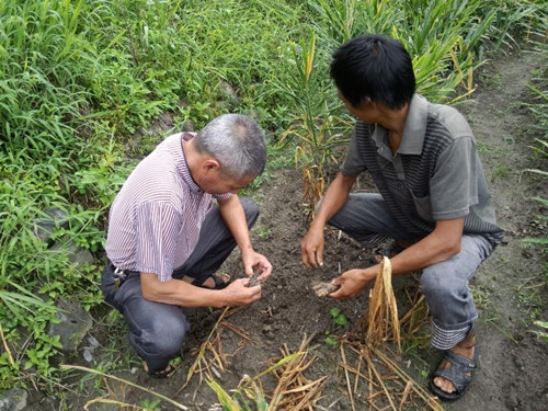 ������Ϫ��ר������� ����������һ��