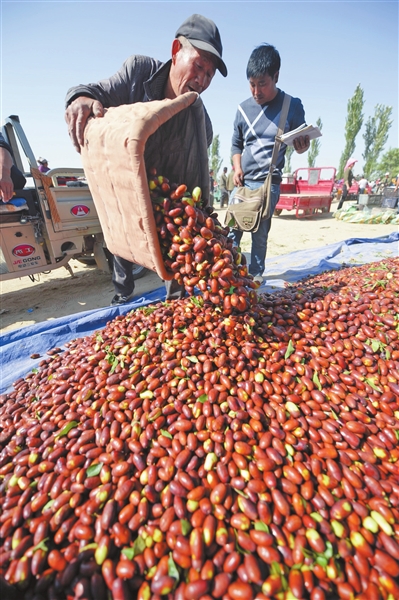 ��������14.2��Ķ�������1144�򹫽�