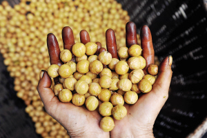 �㽭�ٰ�����Ѫ��ɽ���ң��ܷ�ʹ˳�Ϊ��ʷ��