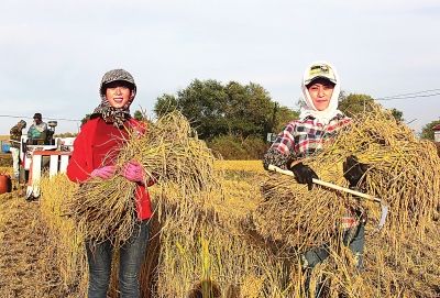 ����ʡ������ˮ��ϲ�����