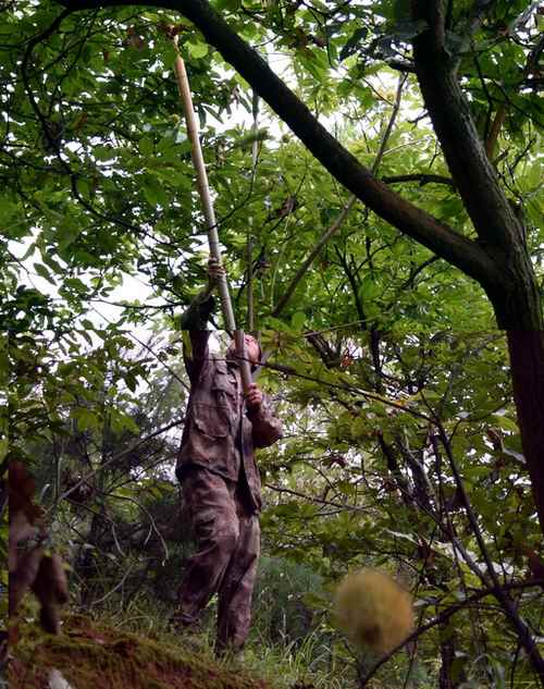 ����˫���ؽ���������� �οͿ��Ĵ����