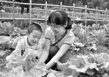 ����̩��������Ҳ˵ء���ժ��