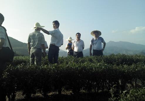 ������Ϫ��������Ķ��̬�۹��԰