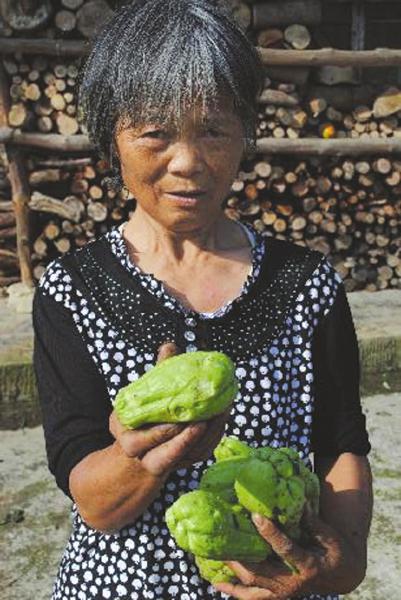 �Ĵ��ڽ���Զ������Ϯ�� ũ����������ʧ��30��Ԫ