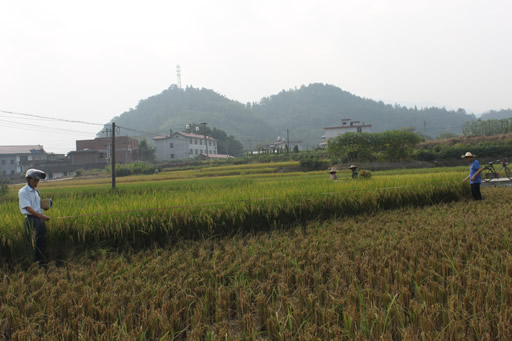 ����������ǧĶ�������ٻ����