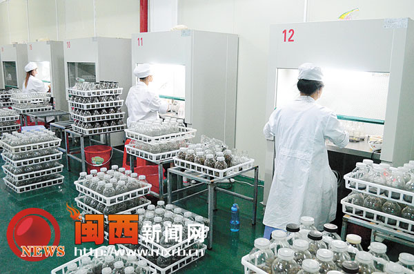 ������ƽ�ִ�ũҵѸ�ͷ�չ �����Ƽ��ֶδ��������¸�