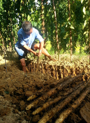 ������Ϫ��1Ķ��ɽ�����Ԫ��